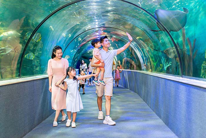 Khu vui chơi VinKE & thủy cung Vinpearl Aquarium Times City sẽ hóa thân thành Vương quốc vui nhộn, chào đón các du khách nhí